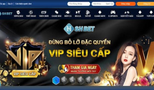 Đánh giá việc cá cược trực tuyến tại SHBET online có an toàn không